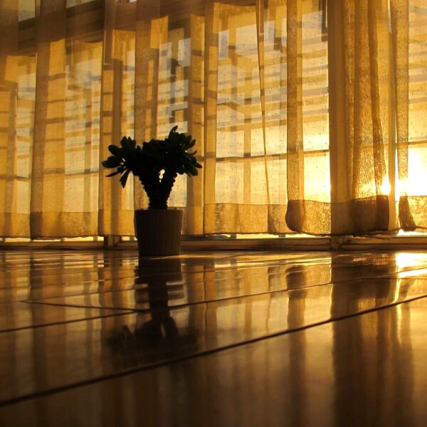 Pokój. Na podłodze roślina w doniczce. Poranne światło. Nadzieja.