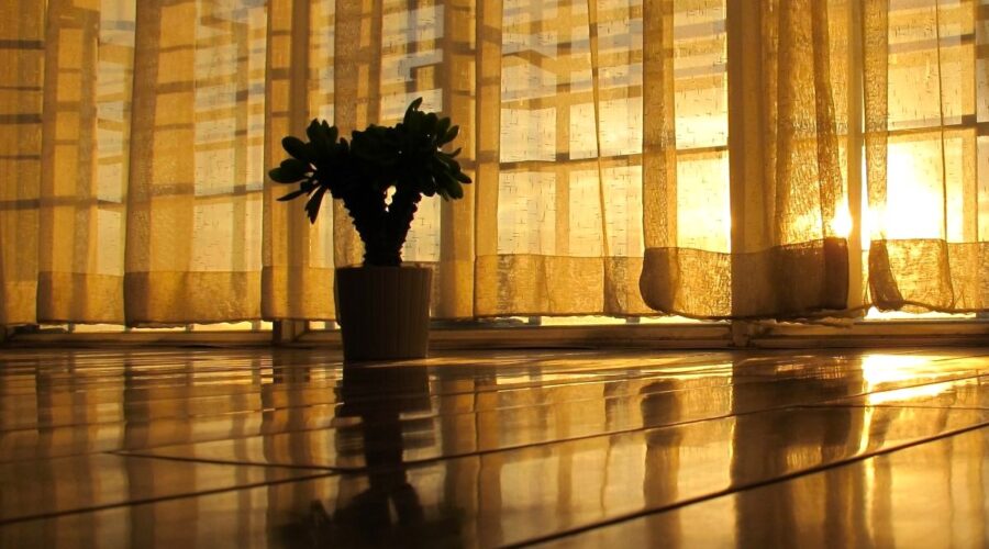 Pokój. Na podłodze roślina w doniczce. Poranne światło. Nadzieja.