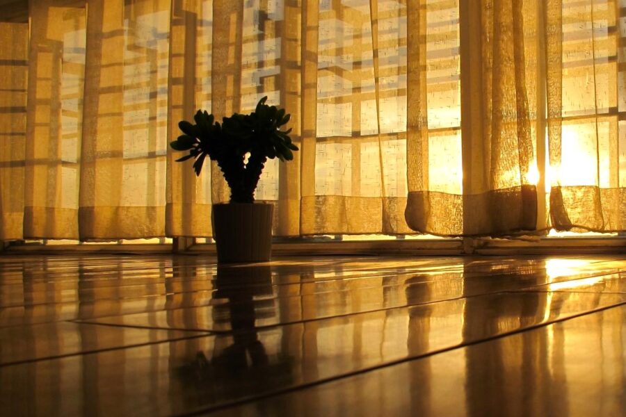 Pokój. Na podłodze roślina w doniczce. Poranne światło. Nadzieja.